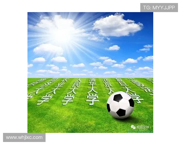 斯旺西俱乐部历史辉煌与挑战并存的足球之路 斯旺西俱乐部历史辉煌与挑战并存的足球之路