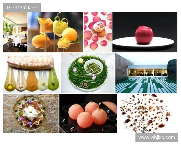 网球赛季新动态:2025年全球顶级赛事选手名单与精彩赛程提前曝光 网球赛季新动态:2025年全球顶级赛事选手名单与精彩赛程提前曝光