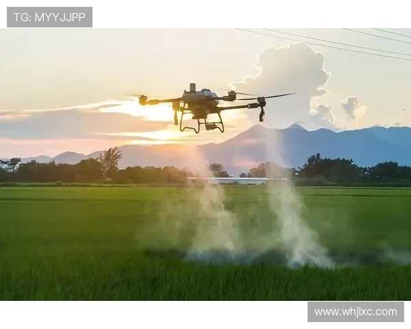 聚焦瓦伦西亚俱乐部全方位发展路径与未来战略前景深度解析蓝图展